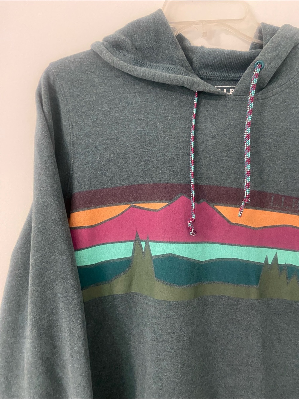 L.L. Bean Cozy Camp Graphic Hoodie - Picture 4 of 12